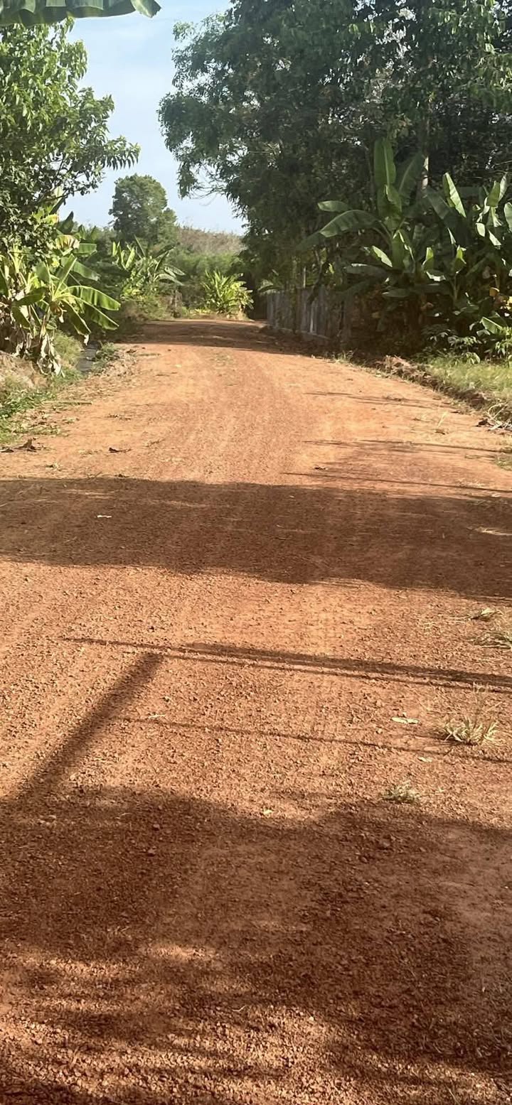 Đất An Long Phú Giáo 2000m² giá 1.3 tỷ - Cơ hội đầu tư tuyệt vời!