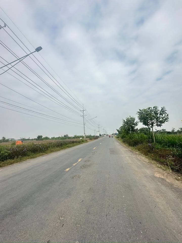 Đất mặt tiền HL 19, Thạnh Trị, Gò Công Tây 1900m² giá 9.6 tỷ - Cơ hội đầu tư sinh lời!