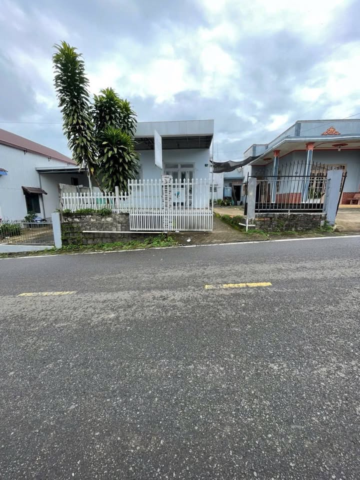 Nhà bán đường Đinh Công Tráng, phường 3 Bảo Lộc 126m² giá 2.02 tỷ - Đầu tư kinh doanh sinh lời!