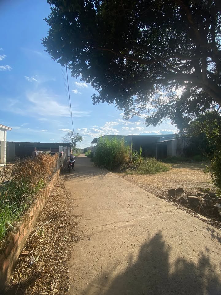 Đất thổ cư An Phú, Pleiku 135m² giá chỉ 300 triệu - Cơ hội đầu tư hấp dẫn!