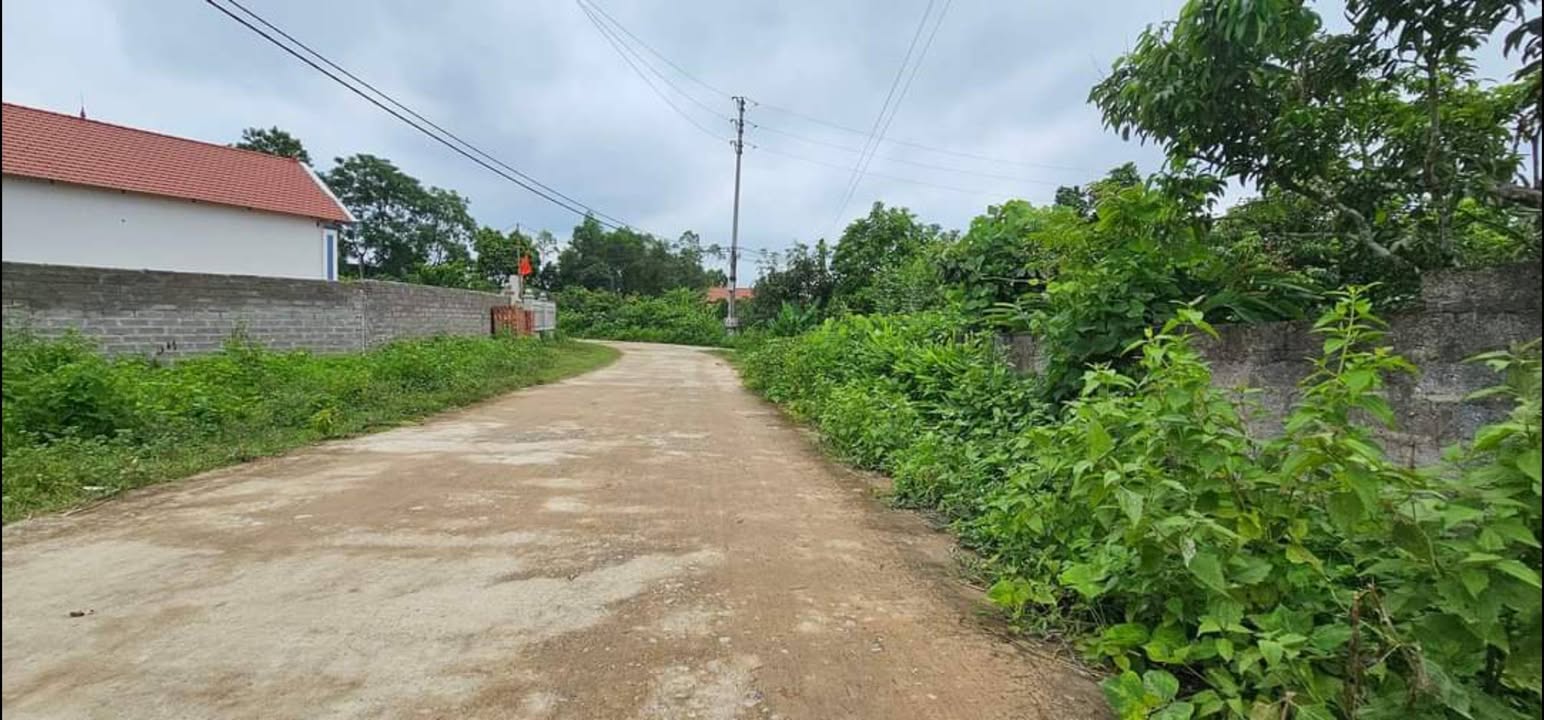 Đất nền Đồng Kỳ, Từ Sơn 1400m² giá 900 triệu - Đầu tư tiềm năng không thể bỏ lỡ!