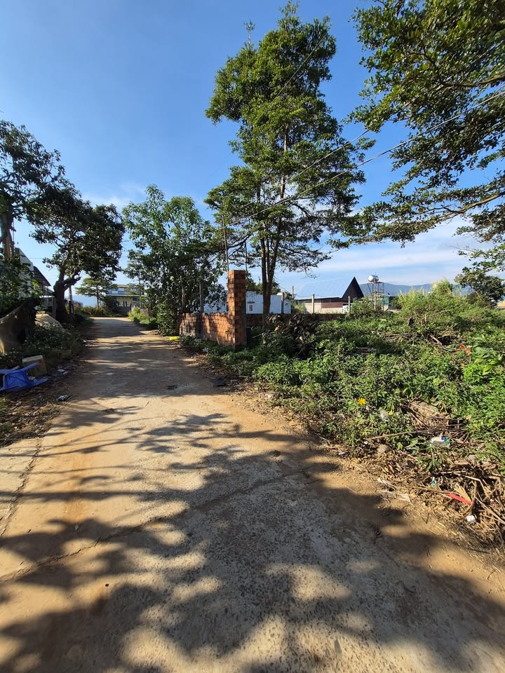 Đất nền Nghĩa Hiệp, Đơn Dương 1386m² giá 1.9 tỷ - Cơ hội đầu tư tuyệt vời!