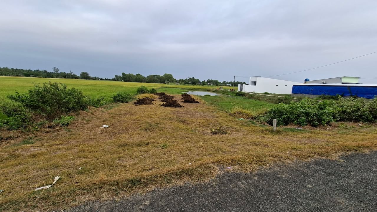 Đất nền Hòa Lợi Châu Thành 125m² giá chỉ 330 triệu - Cơ hội đầu tư tuyệt vời!