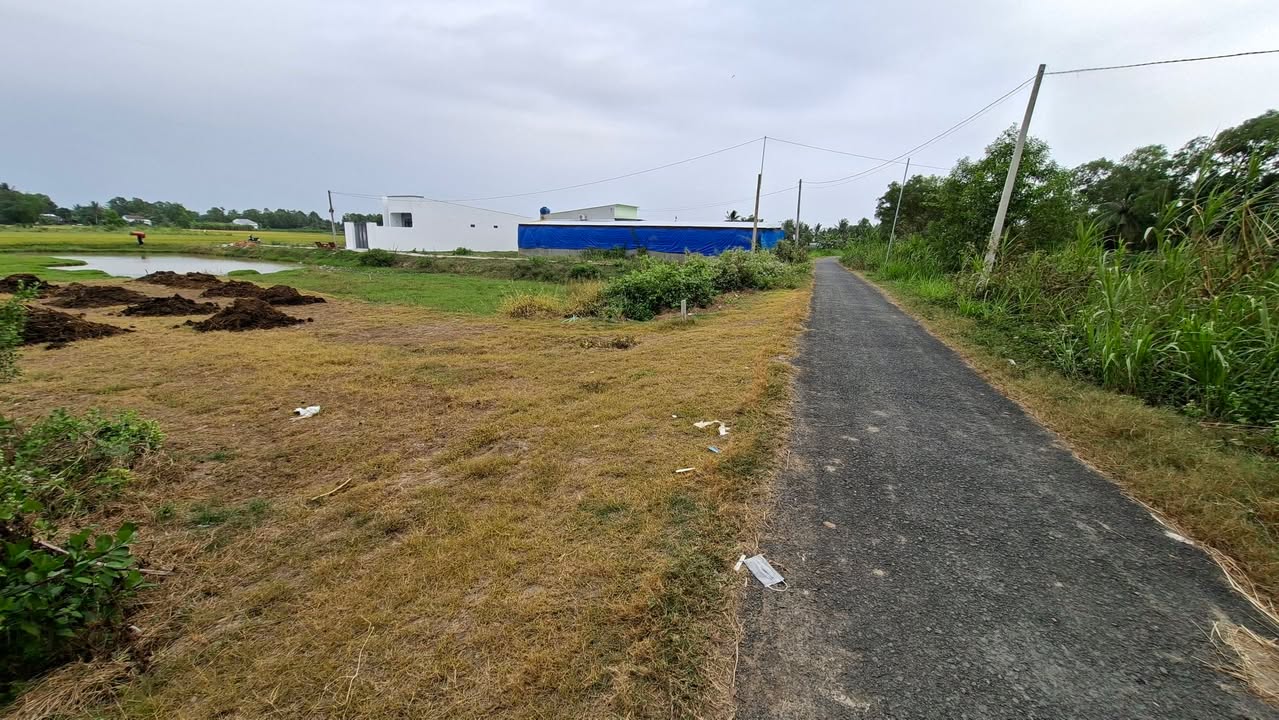 Đất nền mặt tiền nhựa Hòa Lợi 125m² giá 330 triệu - Cơ hội đầu tư hấp dẫn!