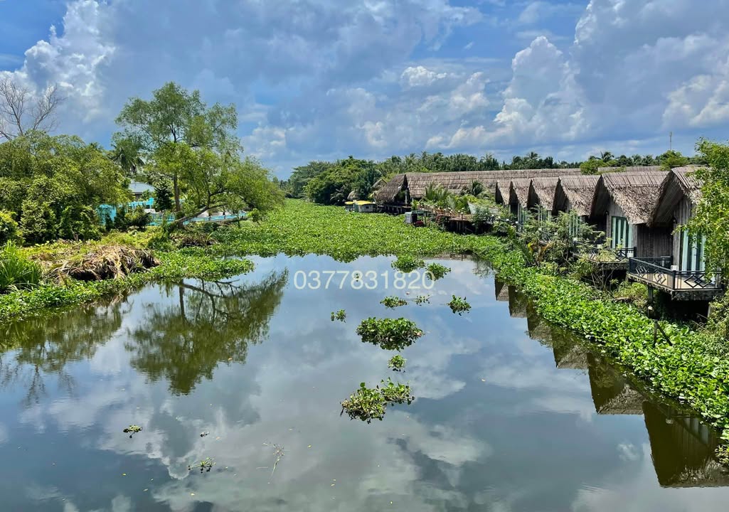 Đất mặt tiền bờ kênh 1.267m² tại Nguyệt Hoá, Châu Thành - Giá tốt chỉ 1.05 tỷ!