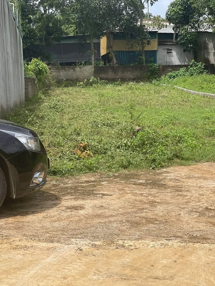 Đất thổ cư Nghĩa Thuận, Thái Hòa 306m² giá 800 triệu - Đầu tư lý tưởng!