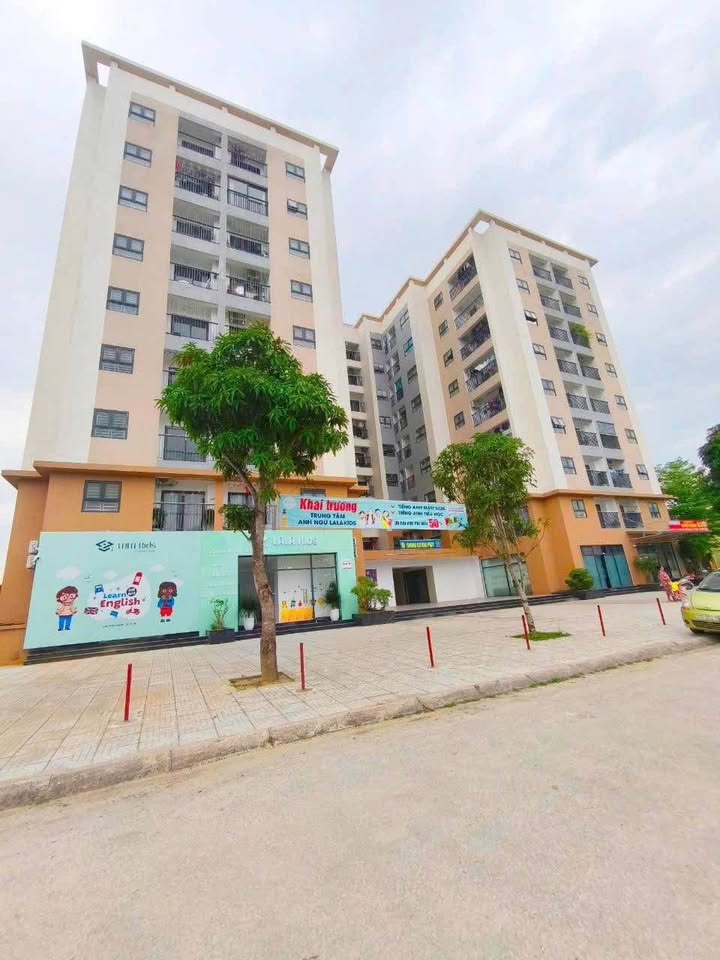 Căn hộ chung cư Tecco Nghi Kim 50m² giá 1.39 tỷ - Sẵn sàng vào ở ngay!