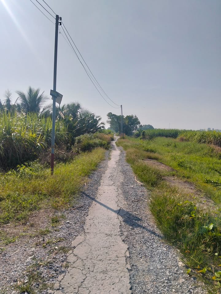 Đất nông nghiệp 1400m² xã Phước Khánh Nhơn Trạch giá chỉ 1.5 tỷ - Cơ hội đầu tư lý tưởng!