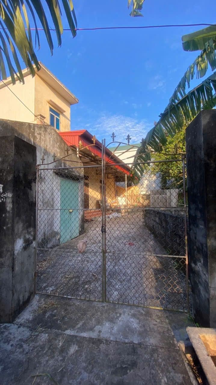 Đất nền Phong Châu Đông Hưng 365m² giá 400 triệu - Cơ hội đầu tư hấp dẫn!