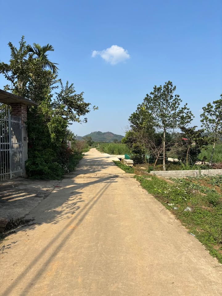 Đất nghỉ dưỡng Muồng Voi Ba Vì 1.845m² giá 6.96 tỷ - Đầu tư sinh lời hiếm có!