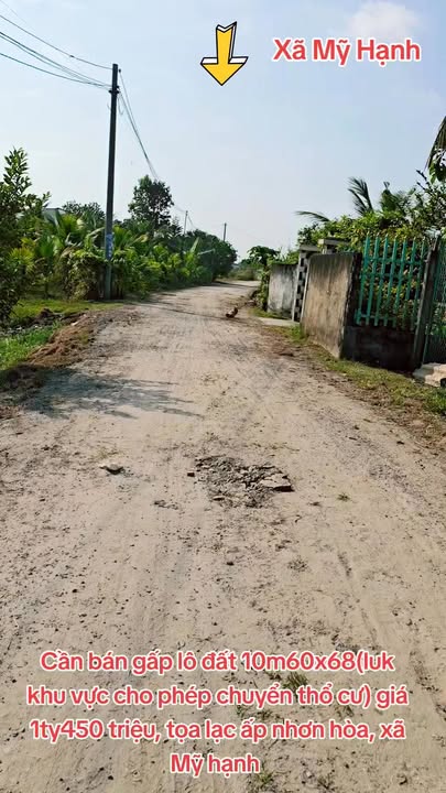 Đất nền ấp Nhơn Hòa, xã Mỹ Hạnh, diện tích 646m², giá 1.45 tỷ - Cơ hội đầu tư tuyệt vời!