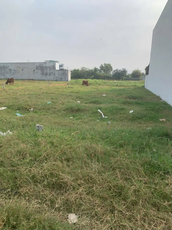 Đất thổ cư ấp Tràm Lạc, xã Đức Lập, Tây Ninh 5.31m² giá 1.25 tỷ - Bán gấp, cơ hội đầu tư tuyệt vời!