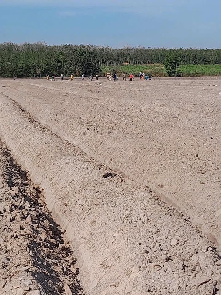 Đất nền Tân Lập, Tân Biên 20.000m² giá 900 triệu - Đầu tư sinh lời ngay!