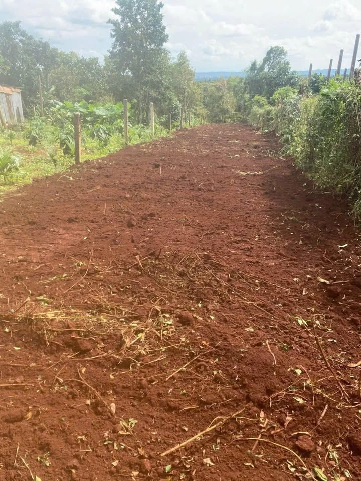 Đất thổ cư Buôn Hồ 720m² mặt tiền Nguyễn Đức Cảnh - Đầu tư sinh lời ngay trung tâm!