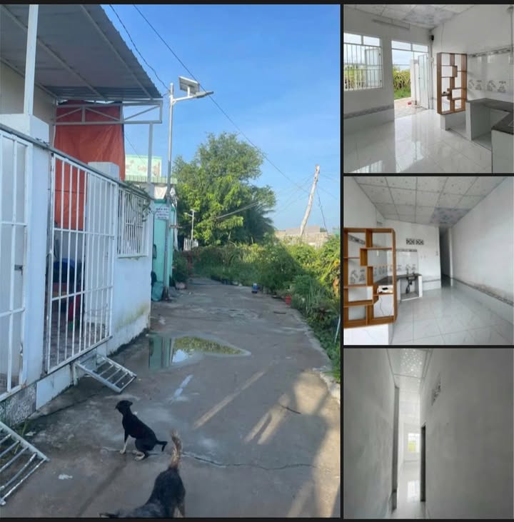 Nhà nguyên căn cho thuê tại Hẻm 81 Ngô Đức Tốn, Phan Thiết 70m² - An ninh và thoáng mát!