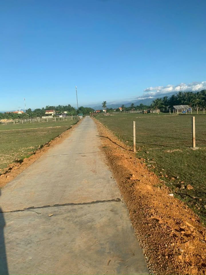 Đất thổ cư 248m² Thôn Bình Sơn, Ninh Thọ giá 1.1 tỷ - Cơ hội đầu tư hấp dẫn!