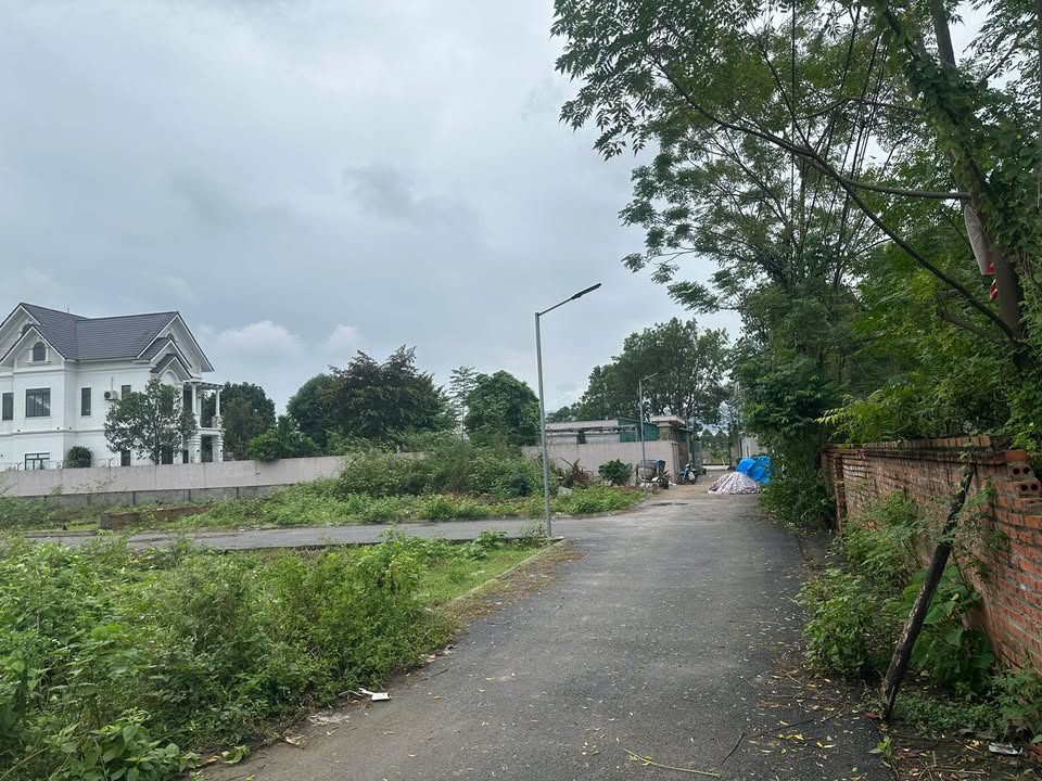 Đất nền Hạ Bằng Thạch Thất 135m² giá 3.375 tỷ - Đầu tư sinh lời lý tưởng!