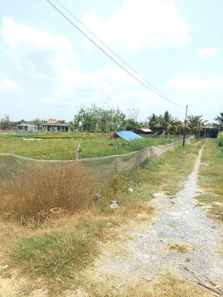 Đất nền An Tịnh, Trảng Bàng 401m² giá 580 triệu - Sẵn sàng đầu tư!