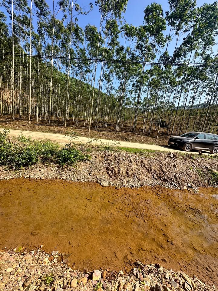 Đất nền Xuân Lương Yên Thế 329m² giá chỉ 250 triệu - Cơ hội đầu tư tuyệt vời!