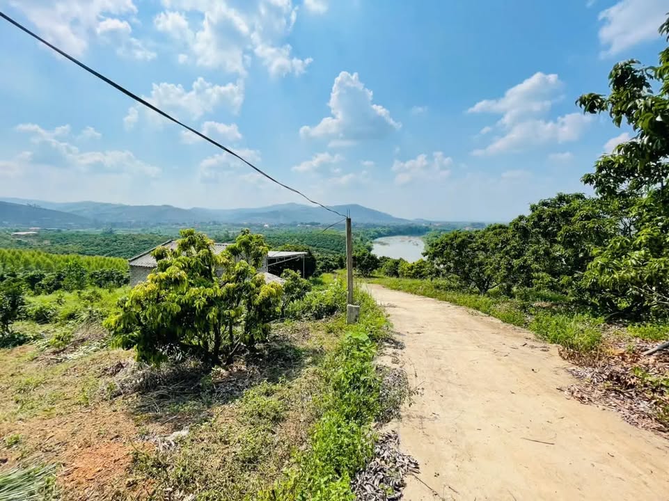 Đất vườn Tân Lập Lục Ngạn 33.000m² giá 950 triệu - Đầu tư sinh lời ngay!