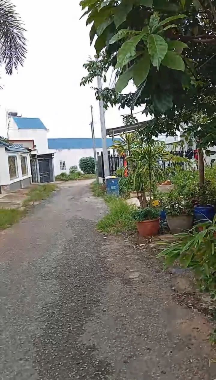 Đất nền Bình Sơn 340m² giá 8.1 tỷ - Sổ đỏ chính chủ, gần sân bay Long Thành!