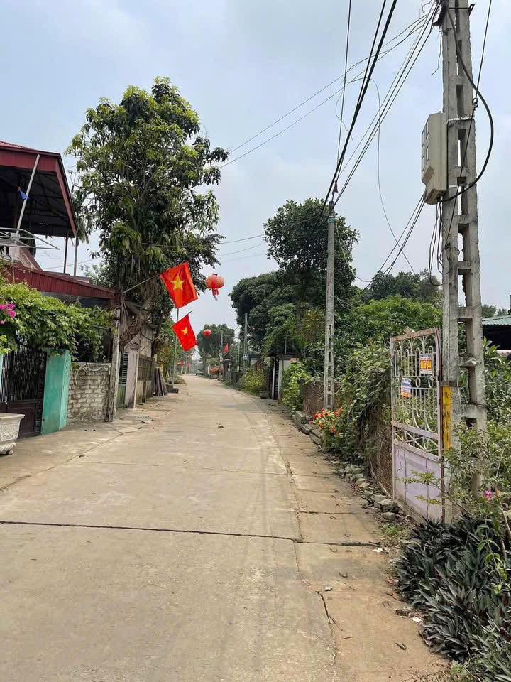 Đất ở Cổ Đông Sơn Tây 1000m² giá nhỉnh 10 triệu - Đầu tư sinh lời ngay!