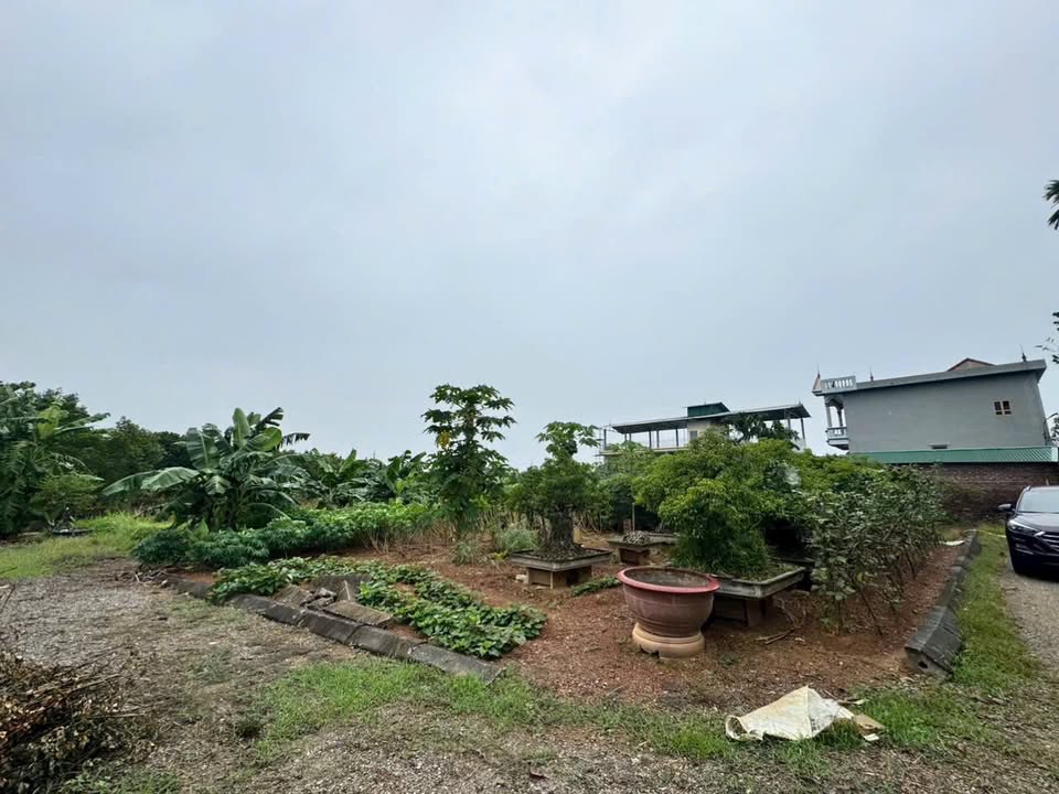 Đất Thổ cư 860m² Thôn 7, Tân Xã - Đầu tư sinh lời, giao thông thuận tiện!