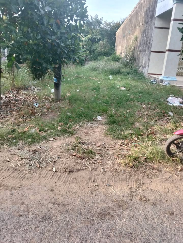 Đất mặt tiền đường nhựa ấp Tà Rom, xã Đôn Châu 150m² giá 230 triệu - Đầu tư sinh lời!