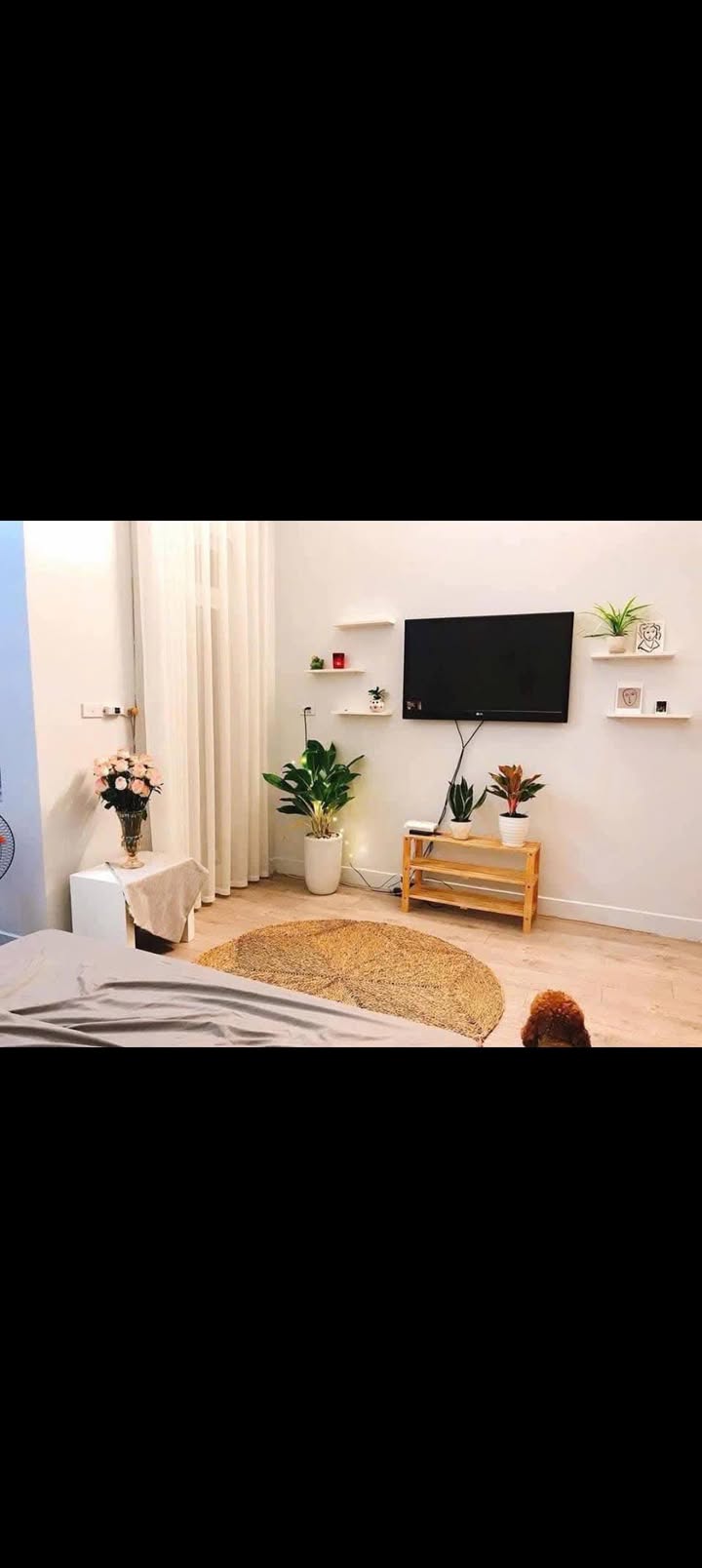 Nhà 3 tầng Hạ Long 60m² giá 6 tỷ - Thiết kế rộng thoáng, vào ở ngay!