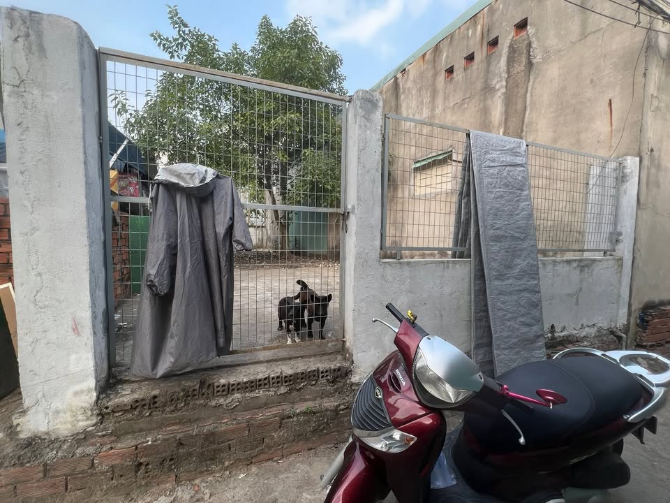 Đất nền phường Bình Trưng Tây, quận 2, 92m² giá 6,9 tỷ - Sổ hồng chính chủ!