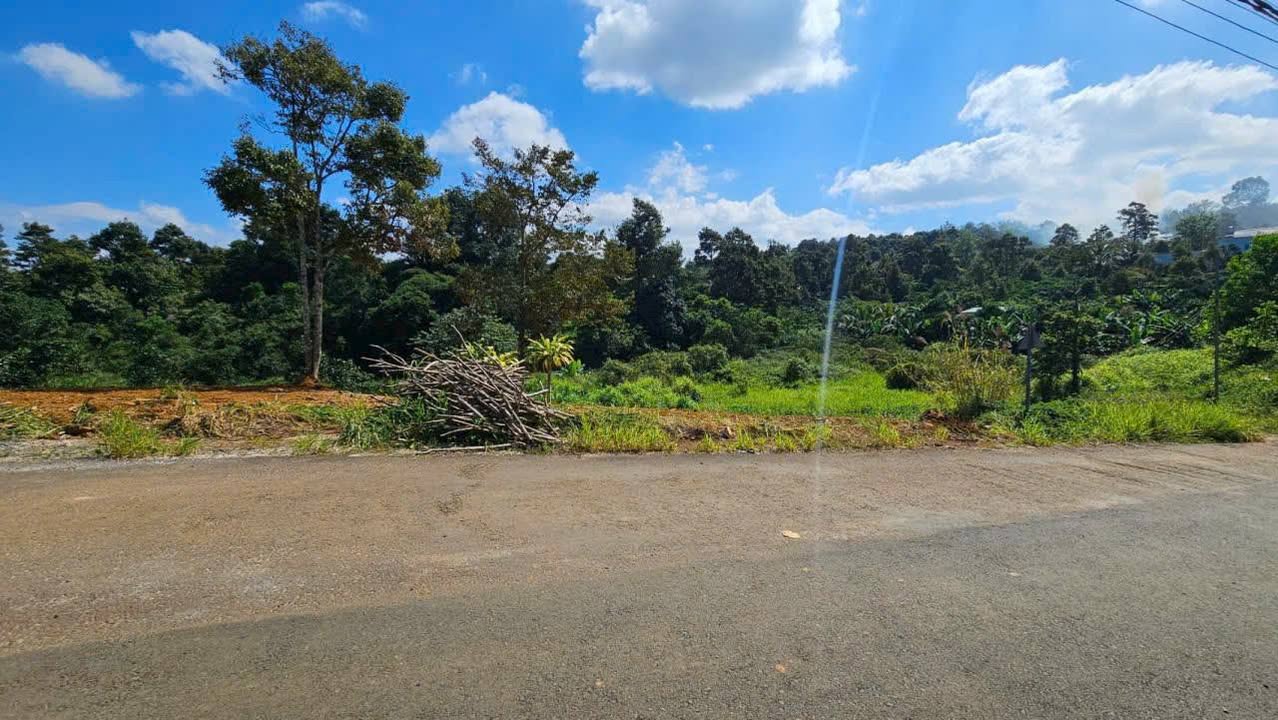 Đất thổ cư Lộc Sơn, Bảo Lộc 161m² giá 895 triệu - Cơ hội đầu tư tuyệt vời!