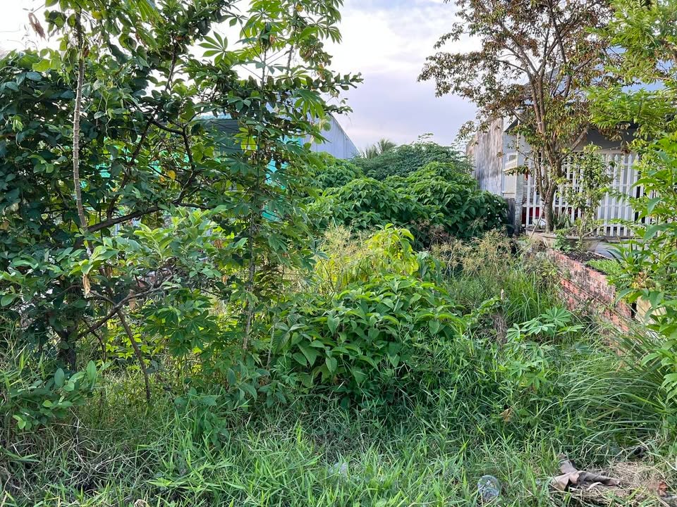 Đất nền mặt tiền 173 Hữu Định, Bến Tre 231m² giá 1.89 tỷ - Cơ hội đầu tư tuyệt vời!