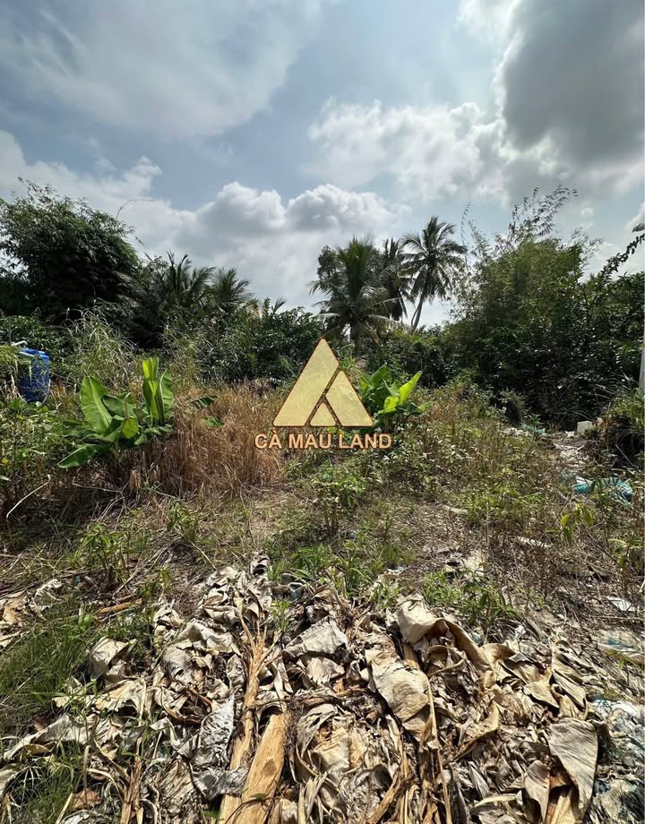 Đất nền mặt tiền Cầu Cái Nhúc Cà Mau 246m² giá 2.3 tỷ - Phù hợp kinh doanh và xây dựng nhà ở!