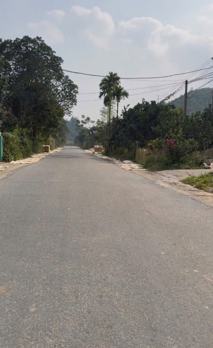 Đất nền Tân Lập, Thanh Sơn 256m² - Tiềm năng kinh doanh vượt trội!