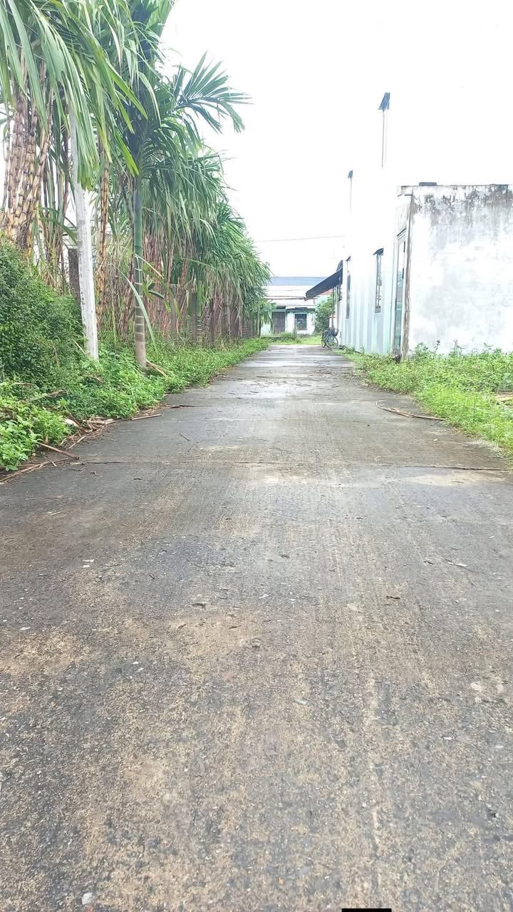 Đất nền Điện Minh 97m² giá chỉ 5xx triệu - Đường bê tông 3m, cách quốc lộ 50m!