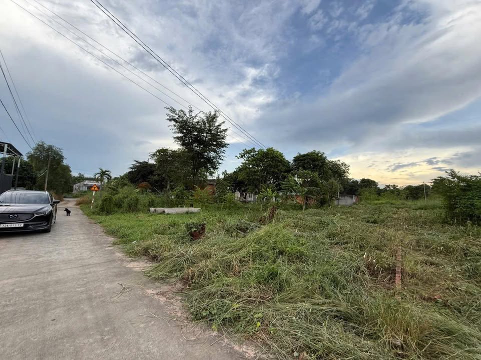 Đất thổ cư Tân Thành Phú Mỹ 162m² giá chỉ 1.3 tỷ - Cơ hội đầu tư tuyệt vời!