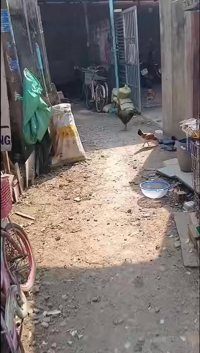 Nhà ở Trần Văn Mười, Xuân Thới Đông 59m² - Cơ hội sửa chữa và an cư!