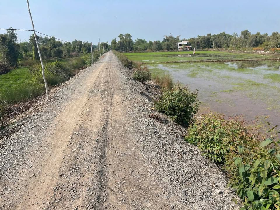 Đất vườn đường bờ kênh, 1160m², giá 650 triệu - Sổ hồng riêng chính chủ!