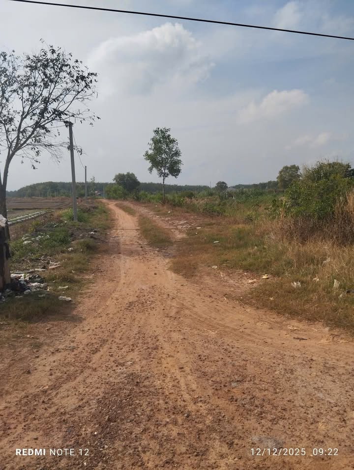 Đất Farm 50.000m² tại ấp 4, xã Trà Vong, Tân Biên - Giá chỉ 6 tỷ!