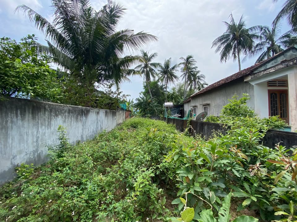 Đất nền đường Trương Định, Hoài Nhơn 110m² giá 490 triệu - Cơ hội đầu tư hấp dẫn!