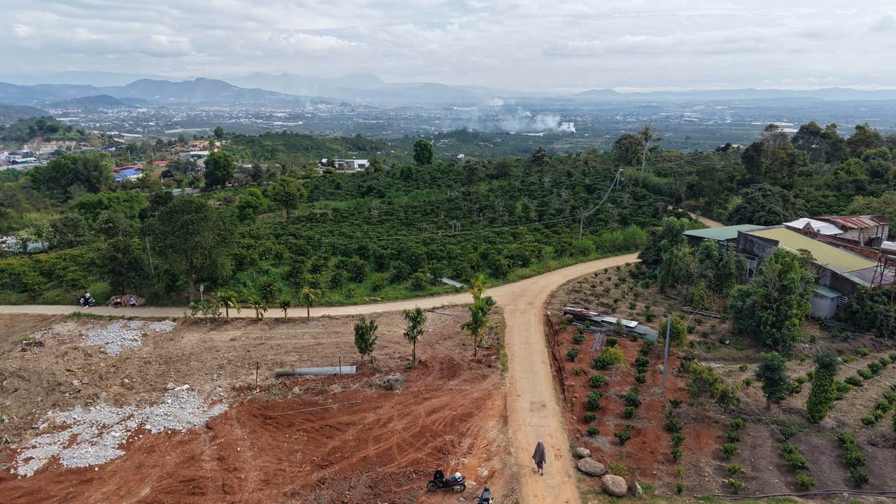 Đất Tân Văn Lâm Hà 258m² giá 550 triệu - Đầu tư sinh lời ngay!