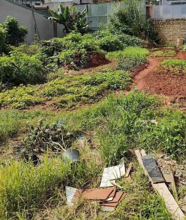 Bán lô biệt thự sân vườn 300m² tại Đà Lạt - Pháp lý rõ ràng, giá đầu tư hấp dẫn!