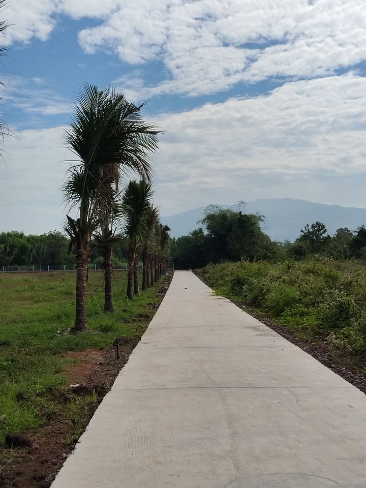 Đất nền Bảo Vinh, Long Khánh 1000m² giá 1.4 tỷ - Mặt tiền rộng 25m, sổ đỏ chính chủ!