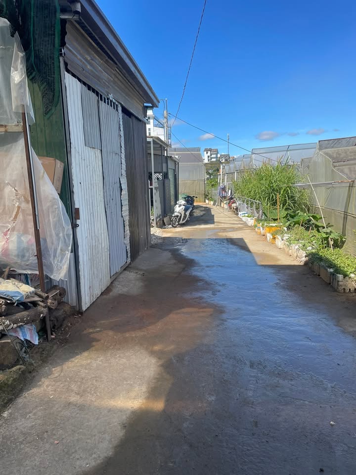 Đất nền đường Lý Nam Đế, Đà Lạt 80m² giá 1 tỷ - Sổ chung, đầu tư sinh lời!