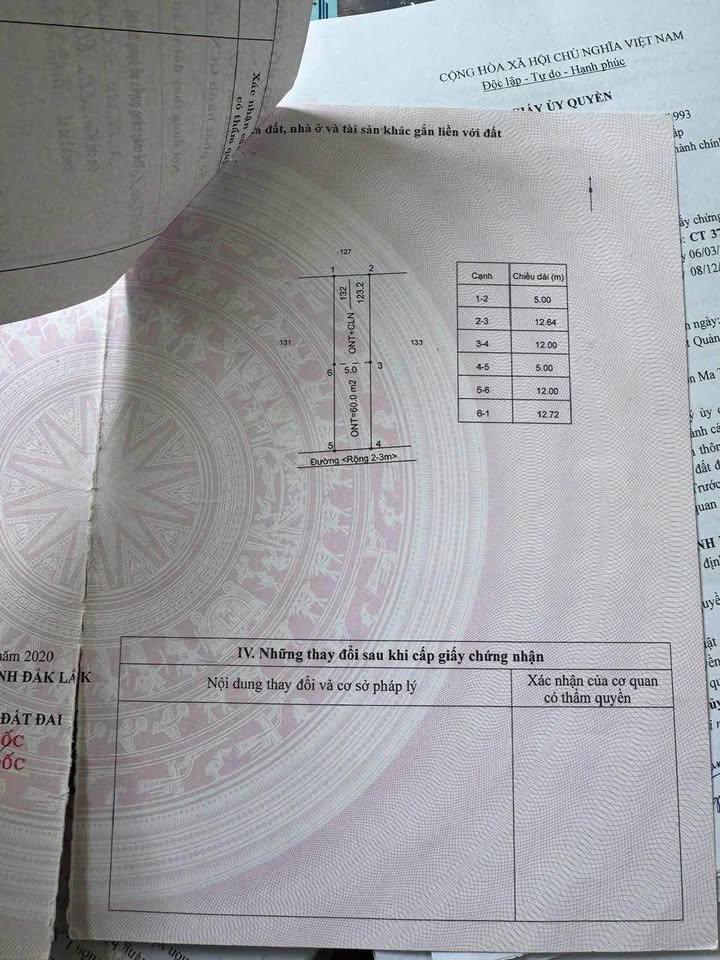 Đất Hẻm 61 Nguyễn Thái Bình - 130m² giá 1.25 tỷ - Cơ hội đầu tư hấp dẫn!