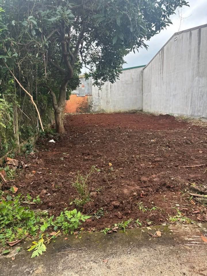 Đất Tân Lập - Buôn Ma Thuột 180m² giá 1.53 tỷ - Vị trí đẹp, gần sân bay!