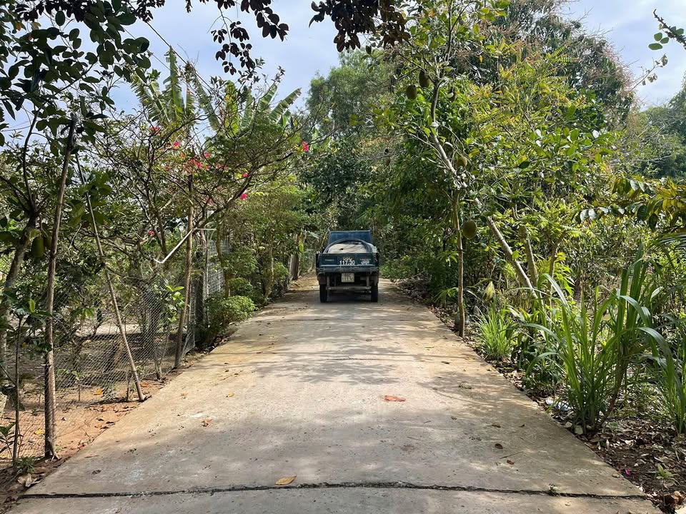 Đất nền Tân Dương 197,1m² giá 800 triệu - View sông thoáng mát!