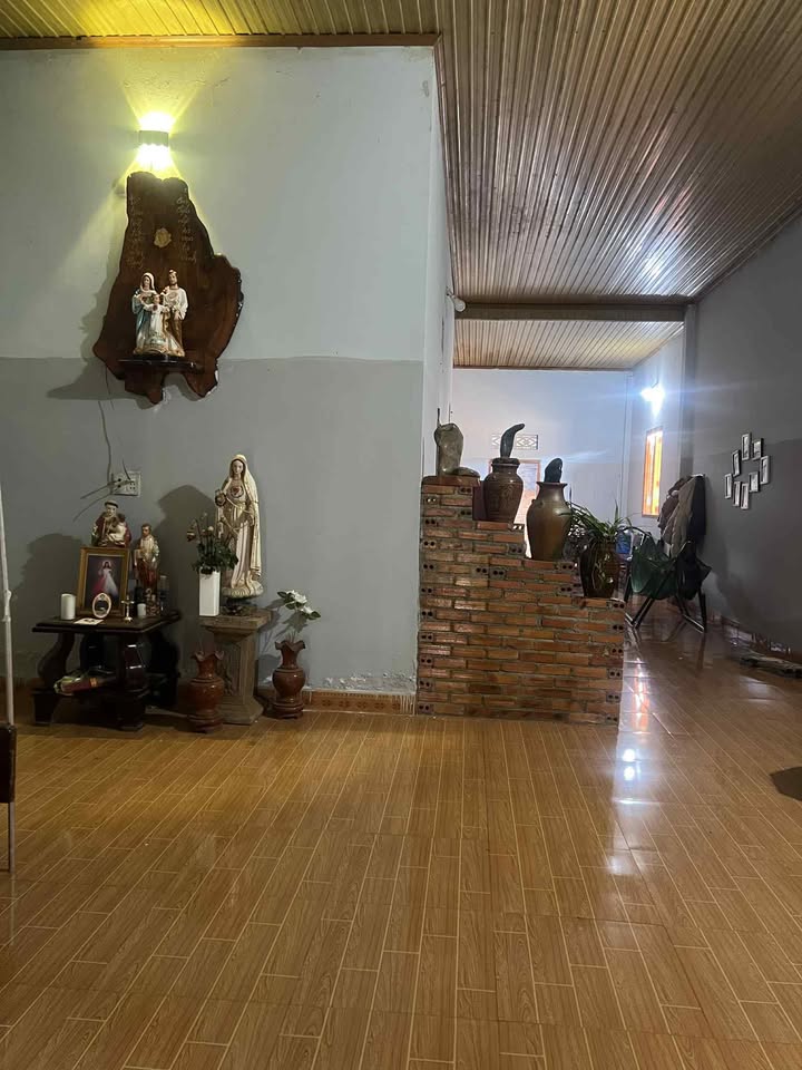 Nhà mặt tiền đường nhựa Đắk Môl 245m² giá 950 triệu - Đầu tư sinh lời ngay!