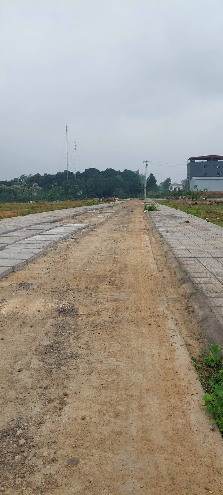 Đất nền 200m² tại Phong Châu, Phú Thọ - Cơ hội đầu tư hấp dẫn!