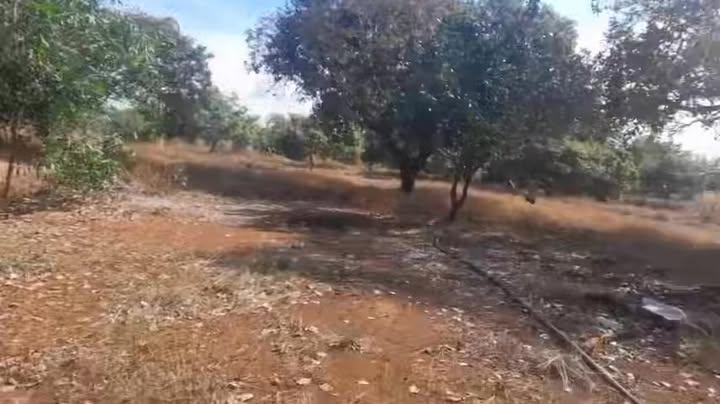 Đất Farm 11,5ha tại Túc Trưng, Định Quán - Giá 3,45 tỷ - Đầu tư sinh lời hấp dẫn!